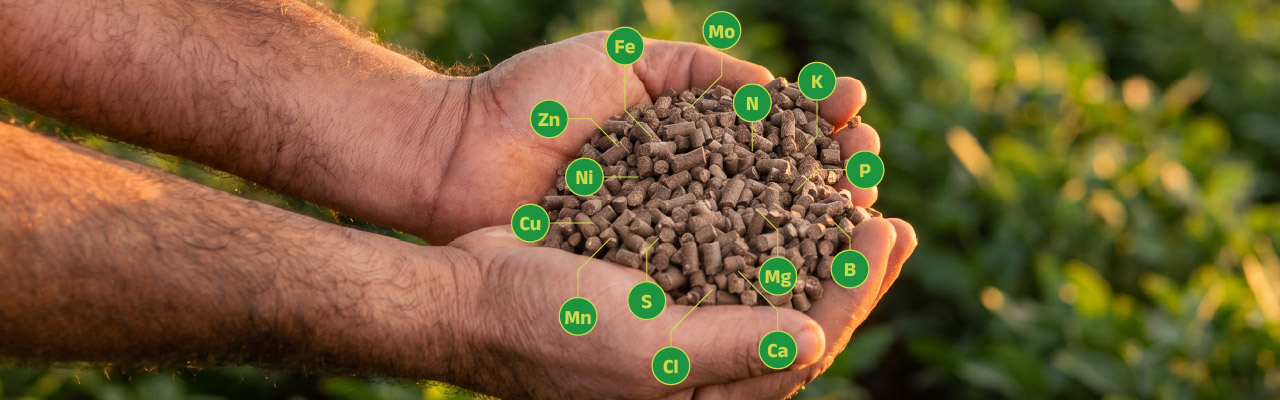 Produtos Oásis Fertilizantes